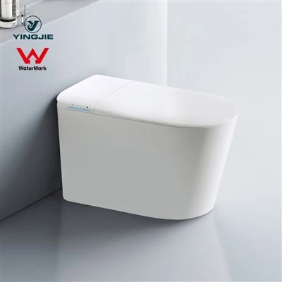 Toilet intelligent de flush automatic multifoncion